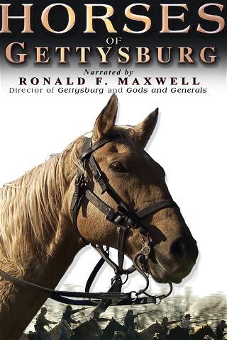 Horses of Gettysburg poster