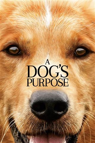 A Dog's Purpose poster