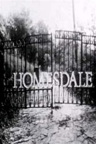 Homesdale poster
