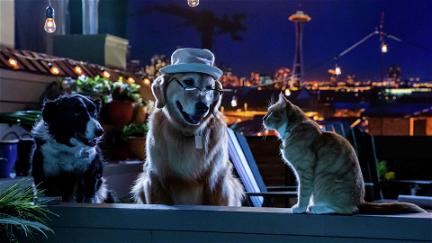 Cats & Dogs 3 - Pfoten vereint! poster