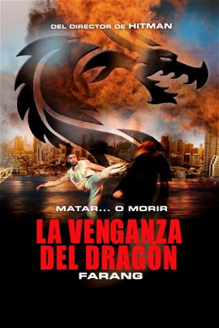 La venganza del dragón (Maythem!) poster