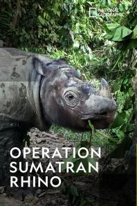 Operation Sumatran Rhino poster