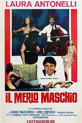 Il Merlo Maschio poster