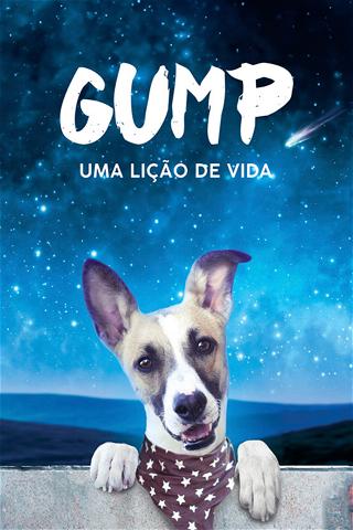 Gump - Uma Lição de Vida poster