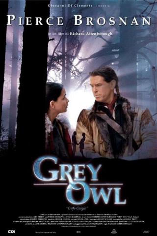 Grey Owl - Gufo grigio poster