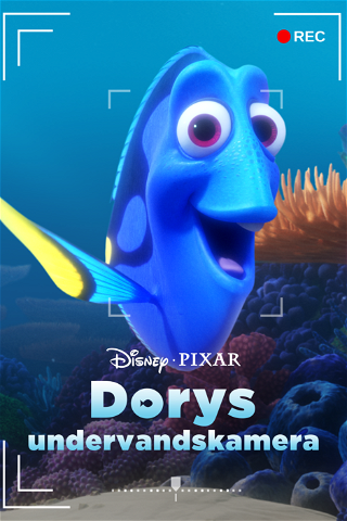Dorys undervandskamera poster