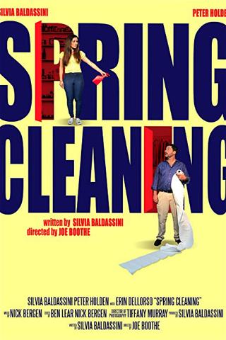 Spring Cleaning poster