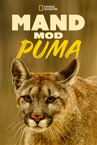 Man vs Puma poster