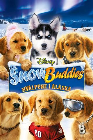 Snow Buddies: Hvalpene i Alaska poster