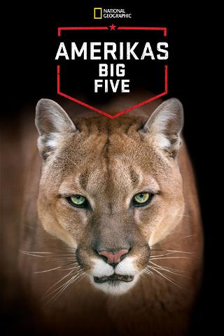 Amerikas Big Five poster