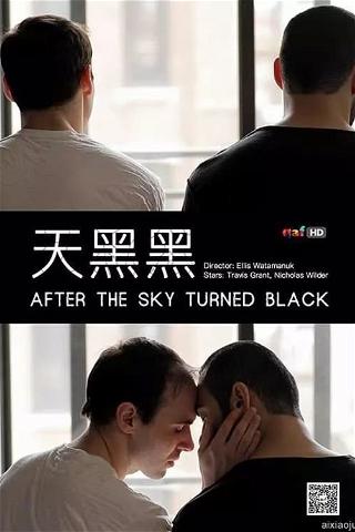 After the Sky Turned Black poster