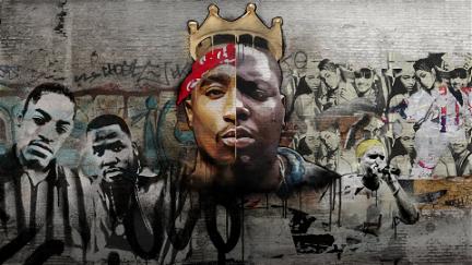 Hip-Hop Evolution poster
