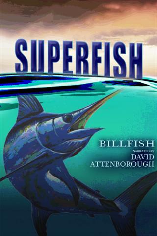 Superfish: Billfish poster