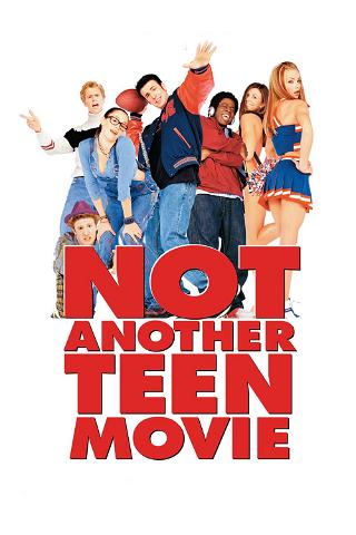 Not Another Teen poster