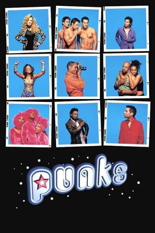 Punks poster