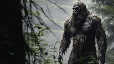 Bigfoot in Ohio poster