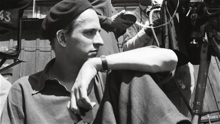Bergman: Yksi vuosi, yksi elämä poster