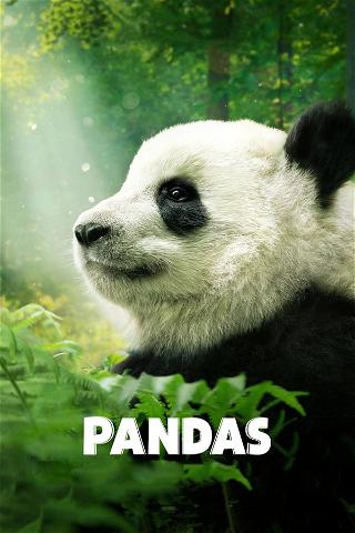 Pandas: El Camino a Casa poster