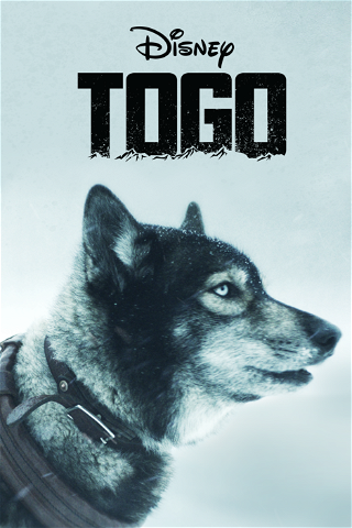 Togo poster