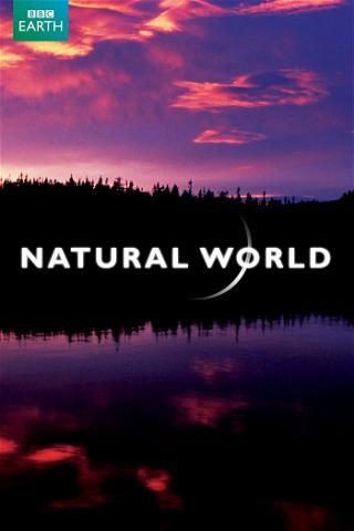 Natural World poster