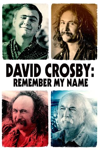David Crosby: Remember My Name poster