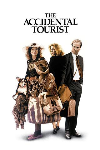 El turista accidental poster