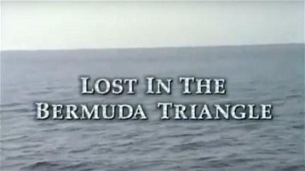 Lost in the Bermuda Triangle poster