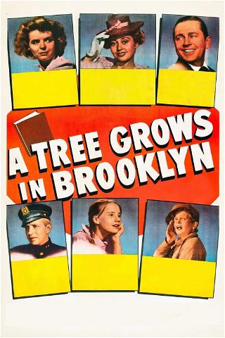 Ein Baum wächst in Brooklyn poster