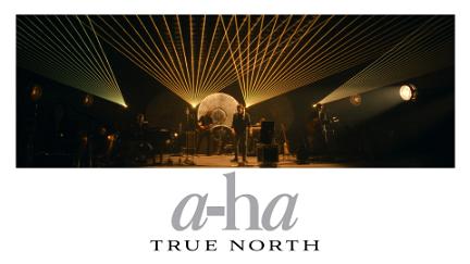 A-ha: True North poster