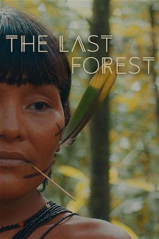 La dernière forêt poster