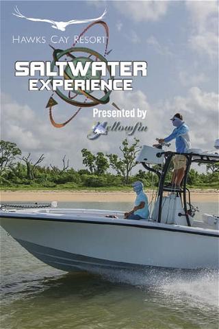 Saltwater Experience poster