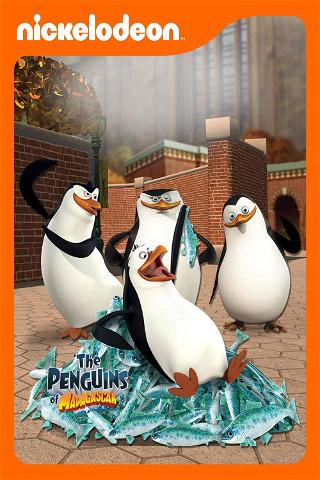 Pingvinerne fra Madagaskar poster