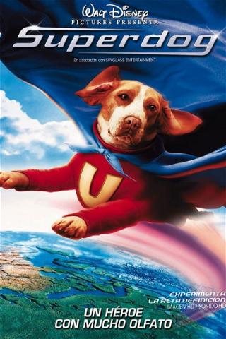 Superdog poster