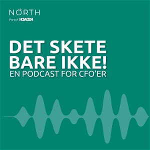 DET SKETE BARE IKKE! - Risikostyring og ledelse - North Risk poster