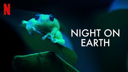 La Tierra de noche poster