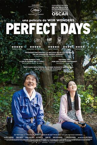 Perfect days poster