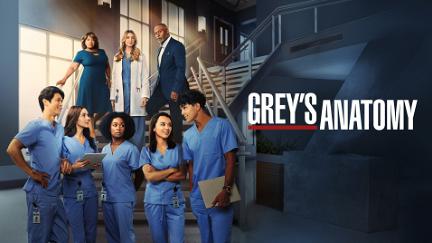 Grey's Anatomy: Chirurdzy poster