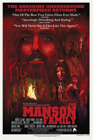 Manson - En sann historia poster