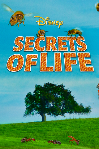 Secrets of Life poster