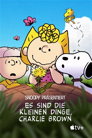 Snoopy präsentiert: Es sind die kleinen Dinge, Charlie Brown poster