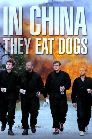 I Kina spiser de hund poster