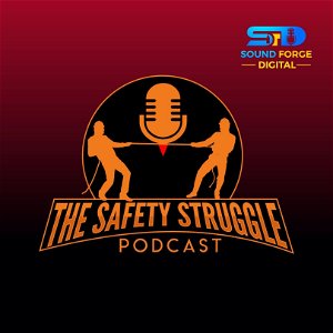 The Safety Struggle poster