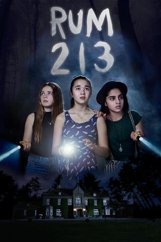 Zimmer 213 poster