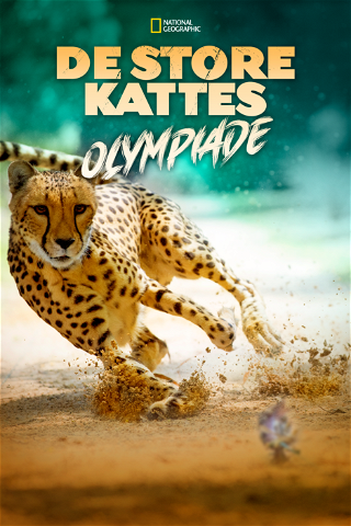 De store kattes olympiade poster