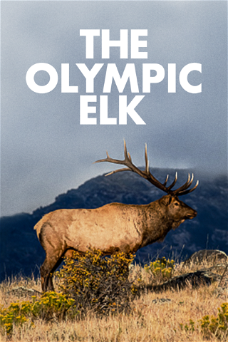 The Olympic Elk poster