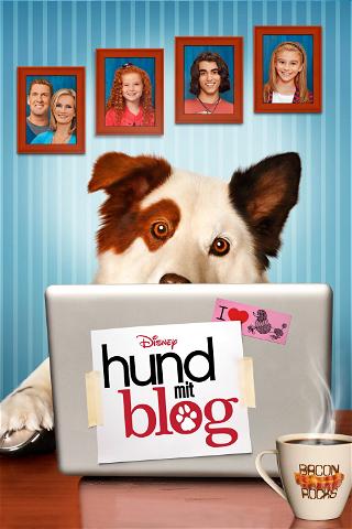 Hund mit Blog poster