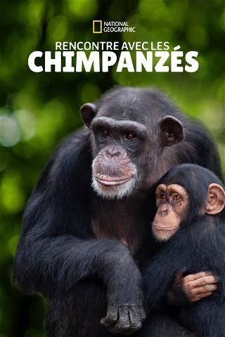 Rencontre avec les Chimpanzés poster