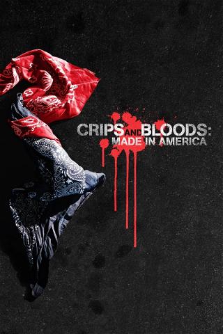 Crips and Bloods: Made in America poster