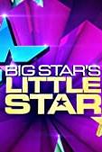 Big Star's Little Star poster