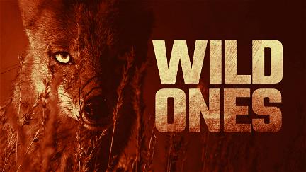 Wild Ones poster